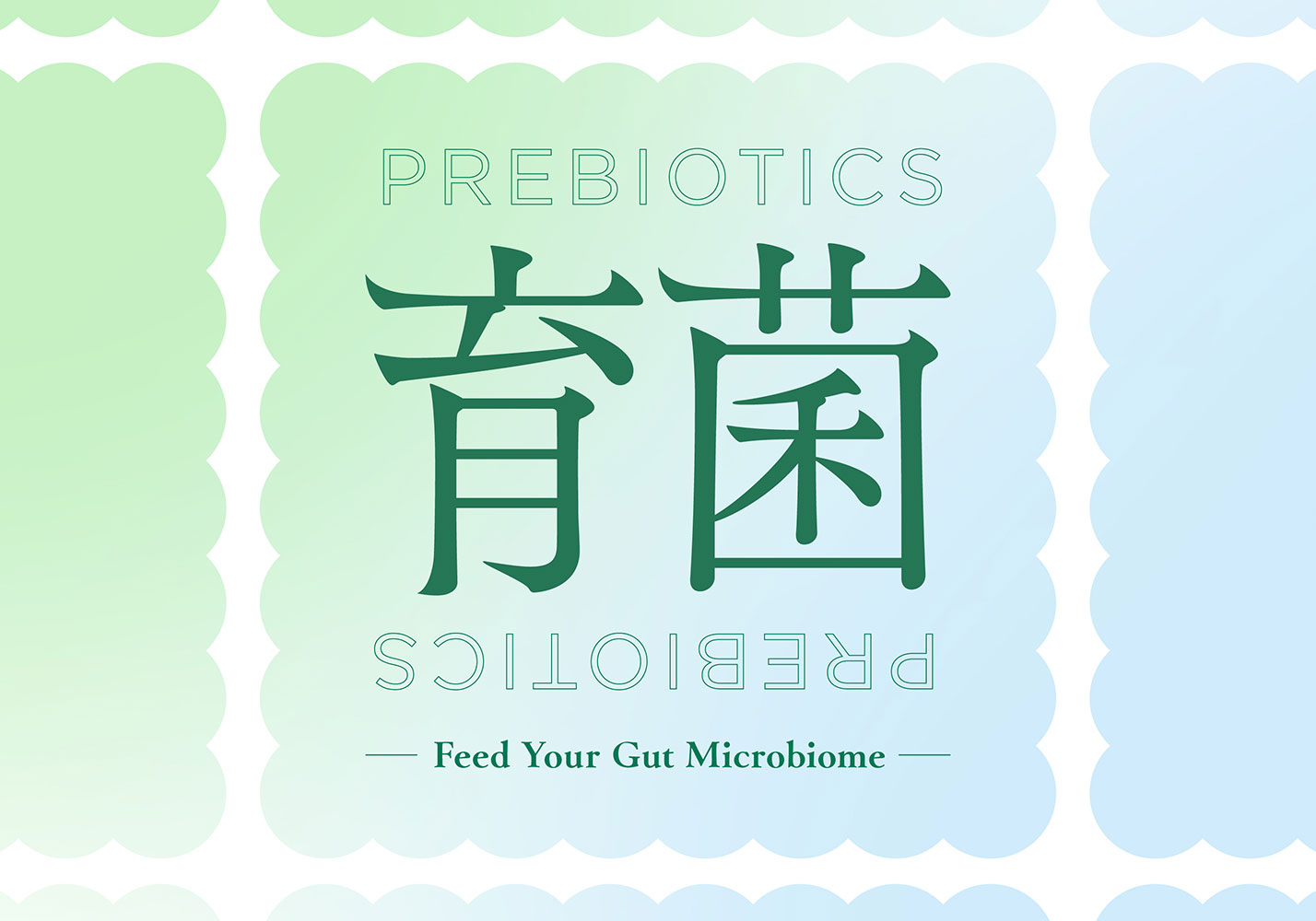 腸活は育菌も大切です