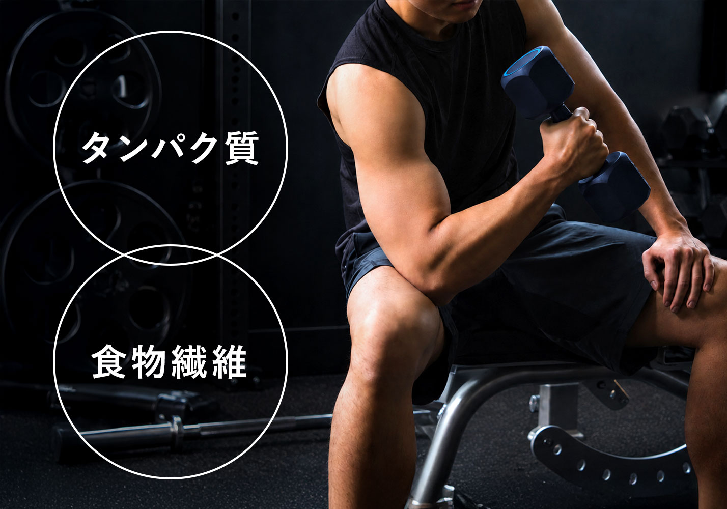 腸活と筋肉づくり