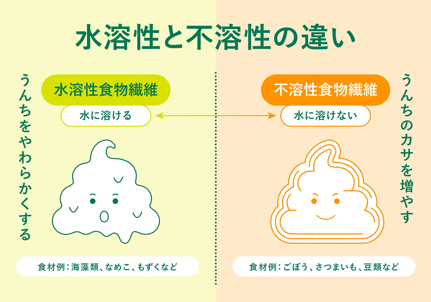 食物繊維なくして腸活なし