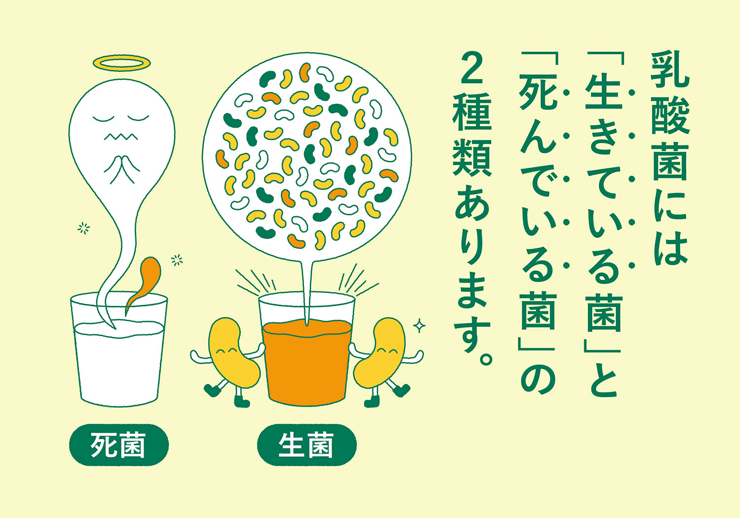 ヨーグルトに乳酸菌と書いていない理由