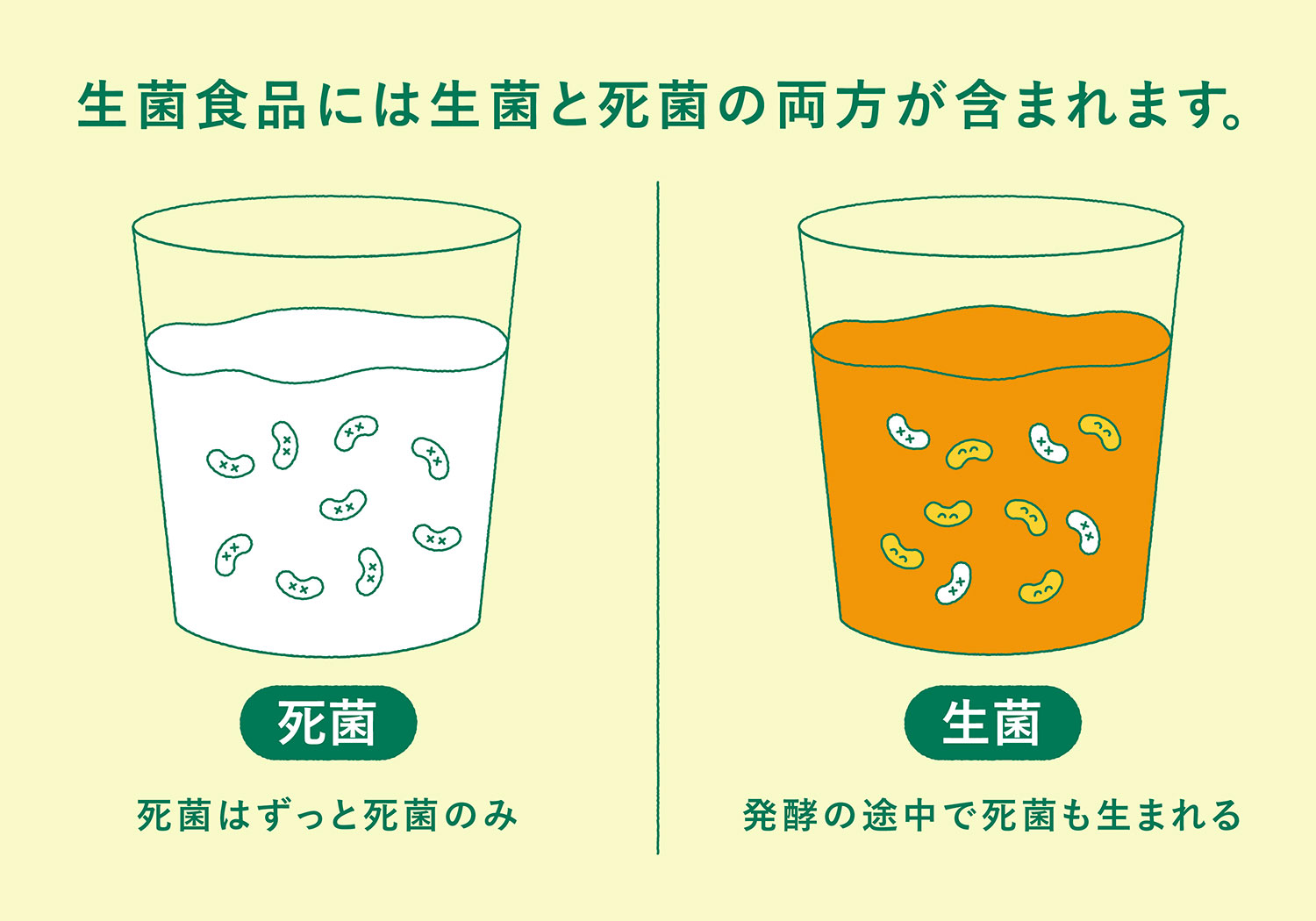 ヨーグルトに乳酸菌と書いていない理由