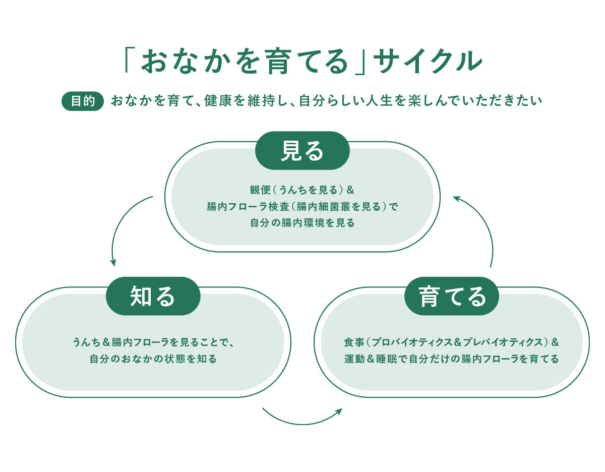 おなかを育てるサイクル