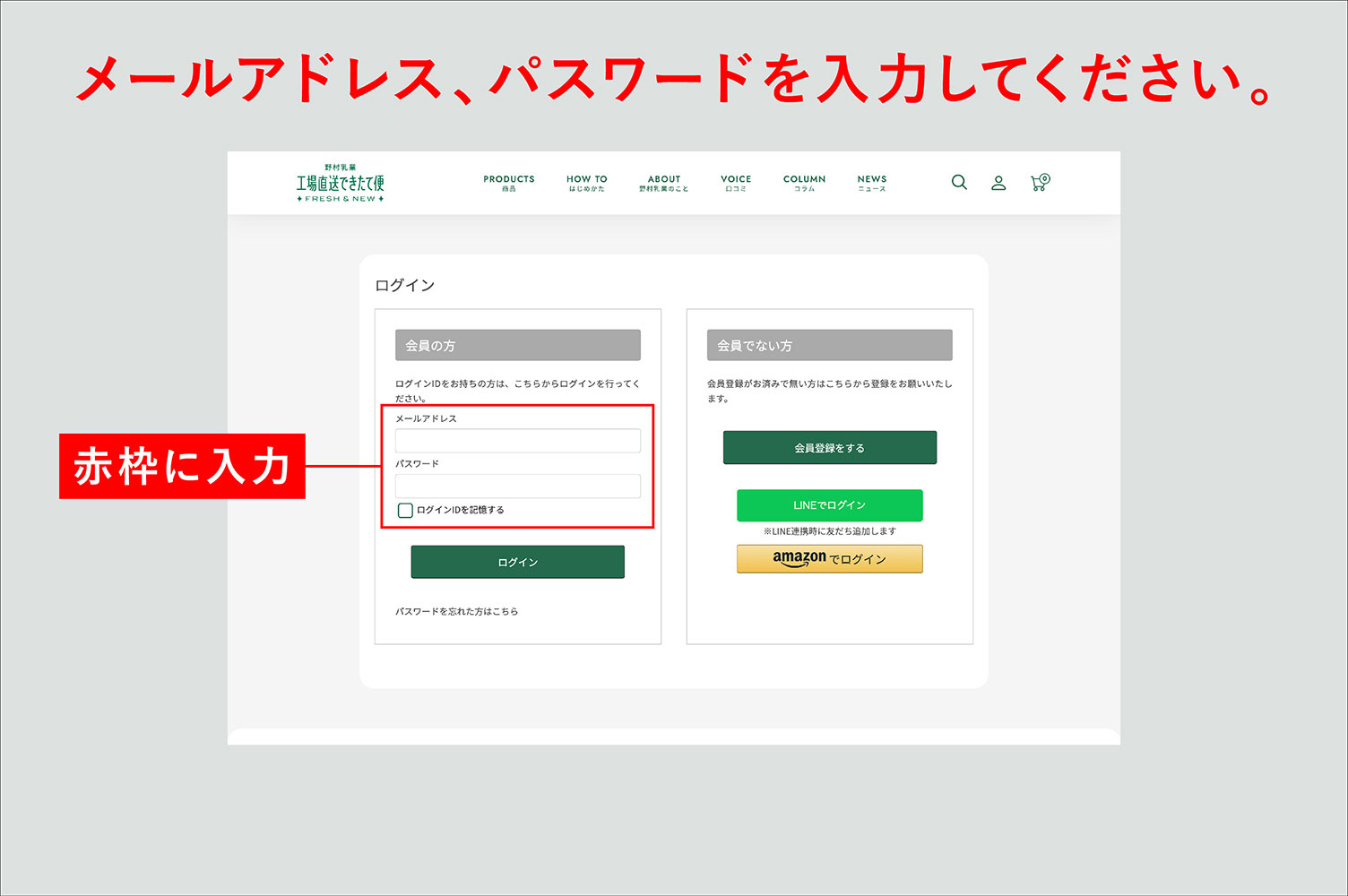 メールアドレスとパスワードを入力してください