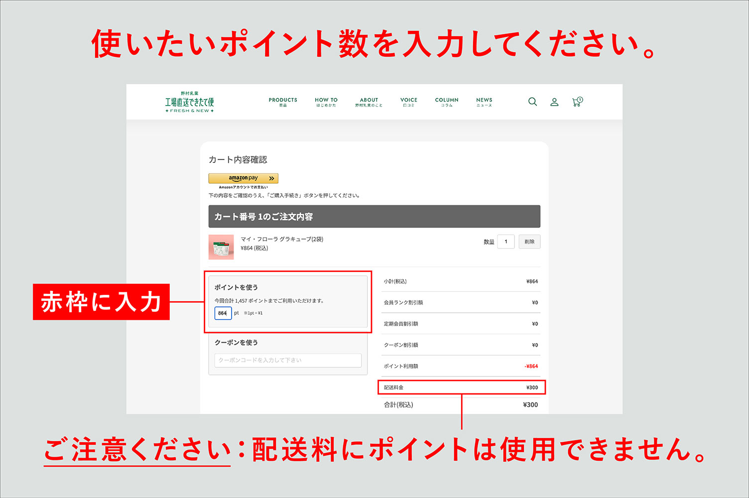 使いたいポイント数を入力してください