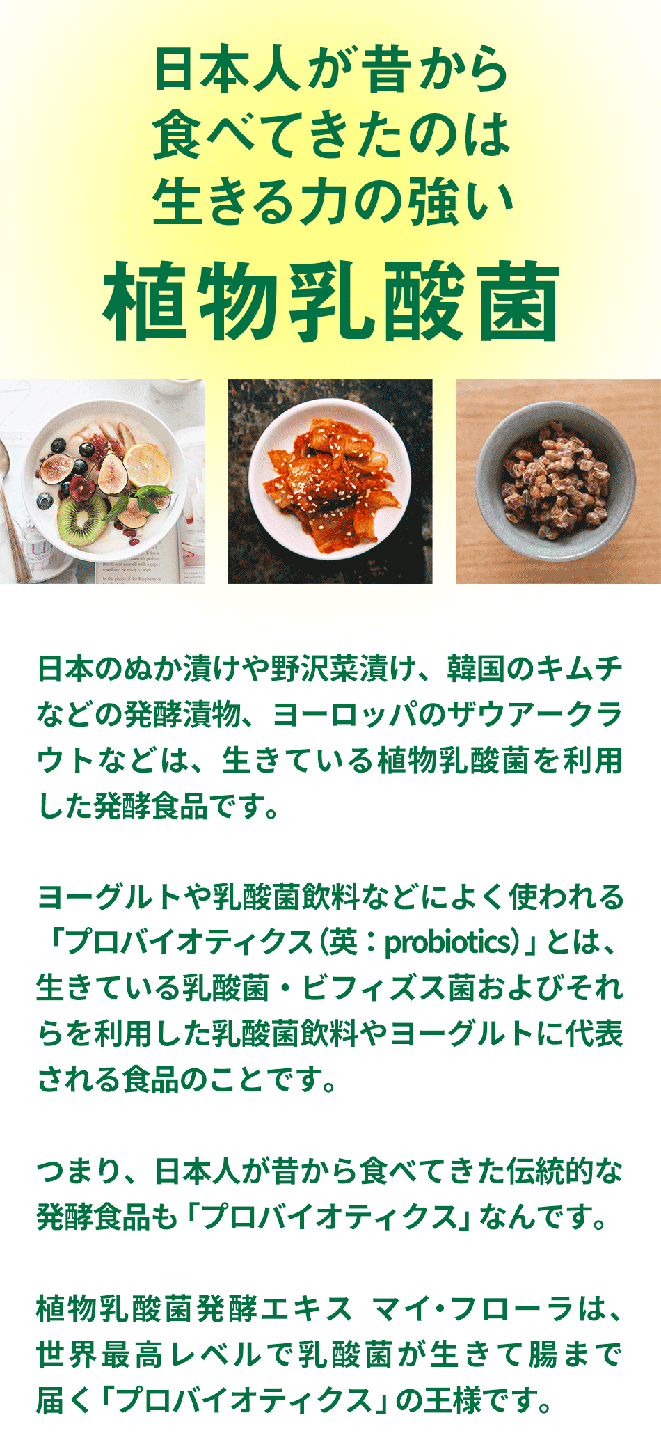 日本人が昔から食べてきたのは生きる力の強い植物乳酸