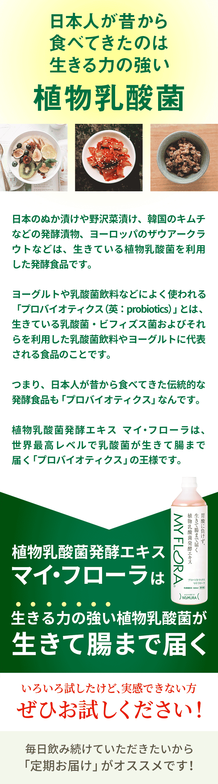 野村乳業 工場直送健康便