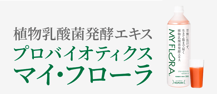 野村乳業 工場直送健康便